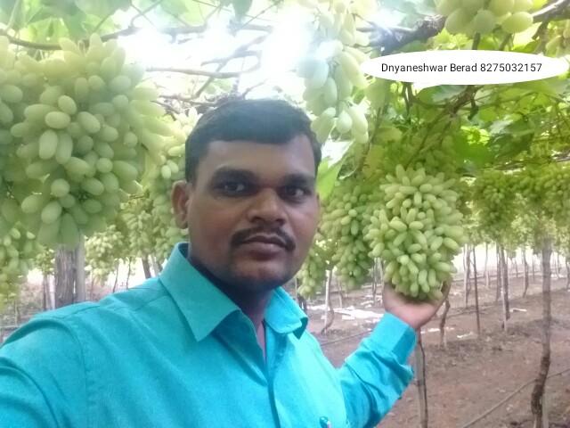 Green Planet Bio Products Ahmednagar Mobile  shop Ahmednagar